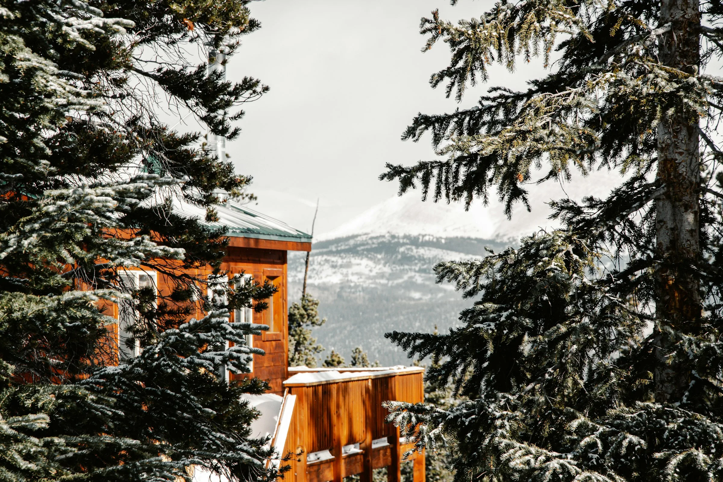Snow-covered home surrounded by ponderosa pines — Black Forest's dense forested neighborhoods